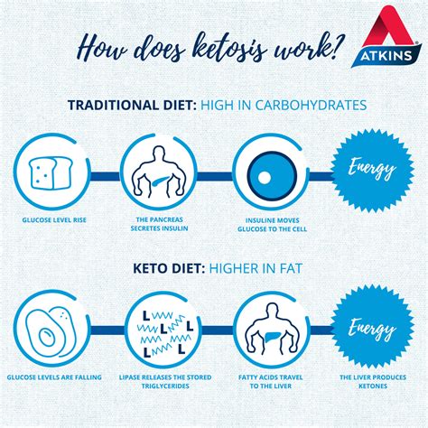  Ketogine! 이 마법같은 동물은 어떻게 움직일까요?